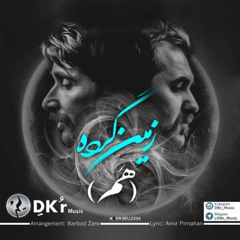 زمین گرده‌