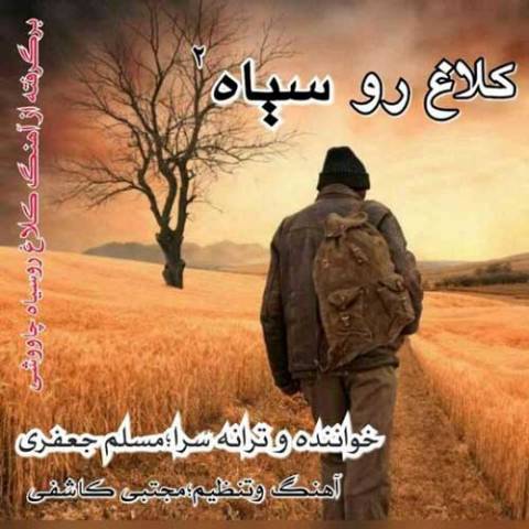 کلاغ رو سیاه 2