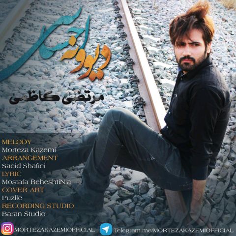 دیوونه احساسی