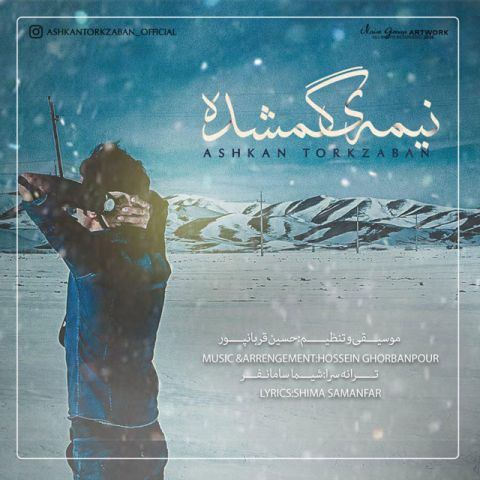 نیمه ی گمشده