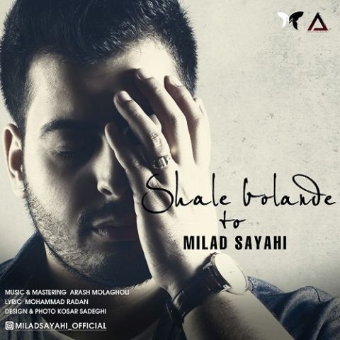 شال بلند تو