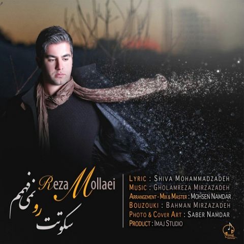 سکوتت را نمیفهمم