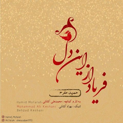 فریاد از این دل