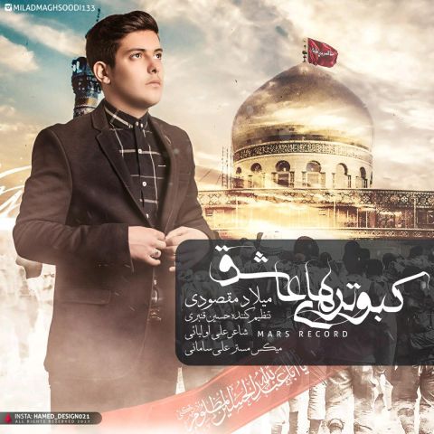 کبوترهای عاشق