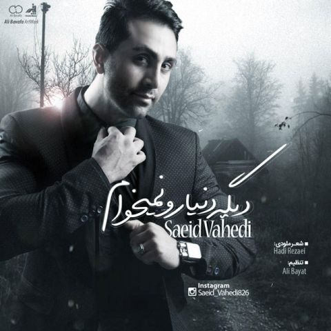 دیگه دنیارو نمیخوام