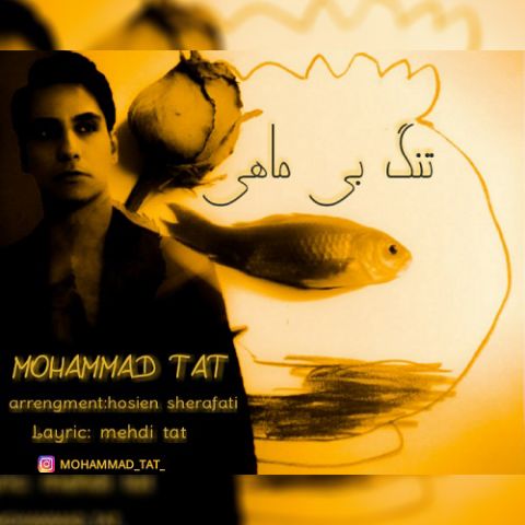 تنگ بی ماهی