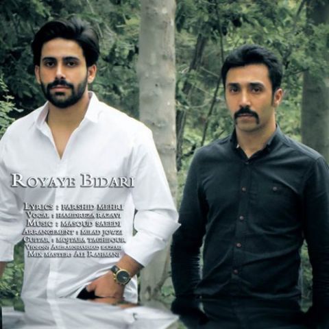 رویای بیداری