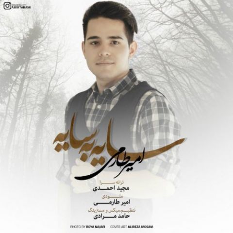 سایه به سایه