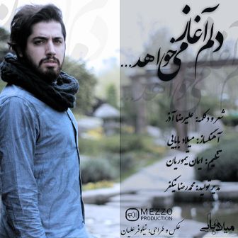 دلم آغاز می خواهد