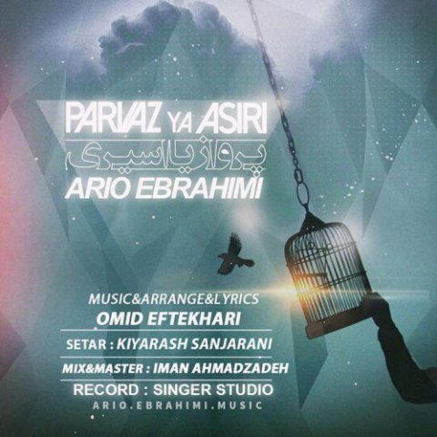 پرواز یا اسیری