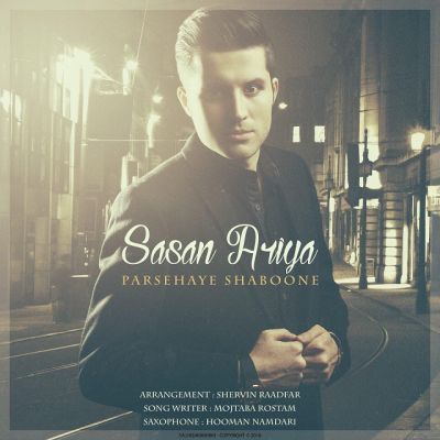 پرسه های شبونه