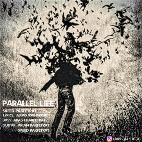 زندگی موازی