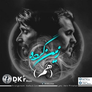 زمین گرده‌