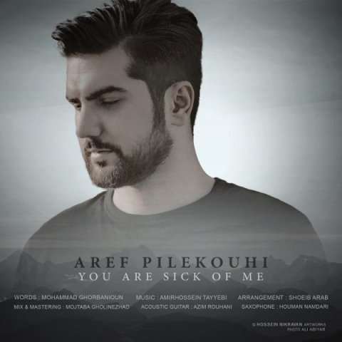 تو رو خسته کردم