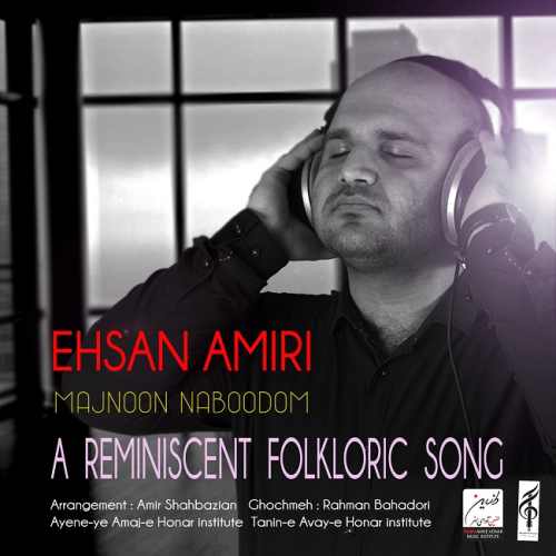 مجنون نبودم