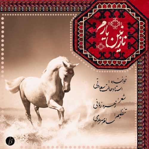 نازنین یارم