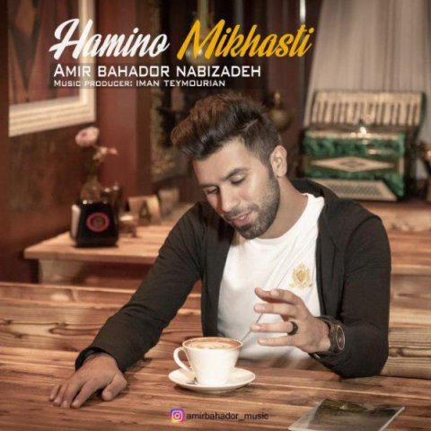 همینو میخواستی