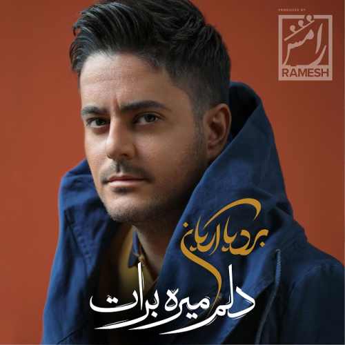 دلم میره برات