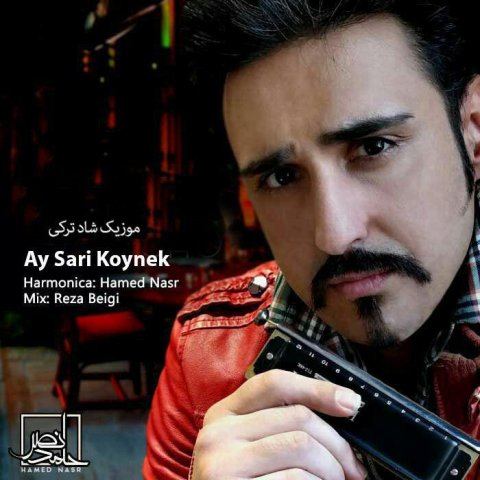 آی ساری کوینه