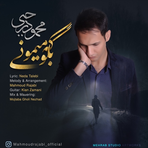 بگو که میمونی