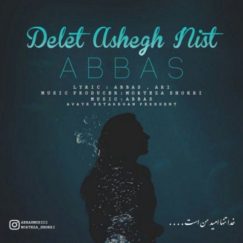 دلت عاشق نیست