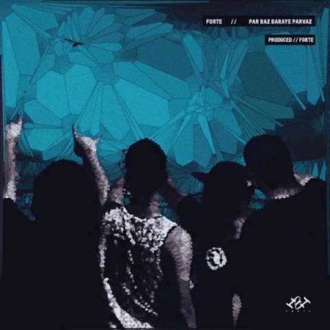 پرباز برای پرواز