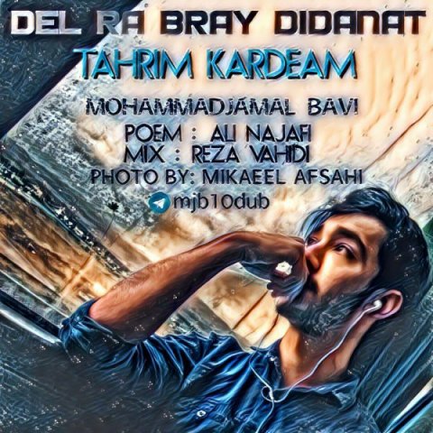 دل را برای دیدنت تحریم کرده هام