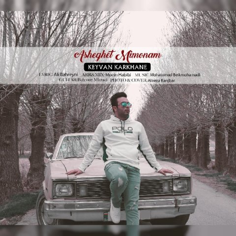 عاشقت میمونم