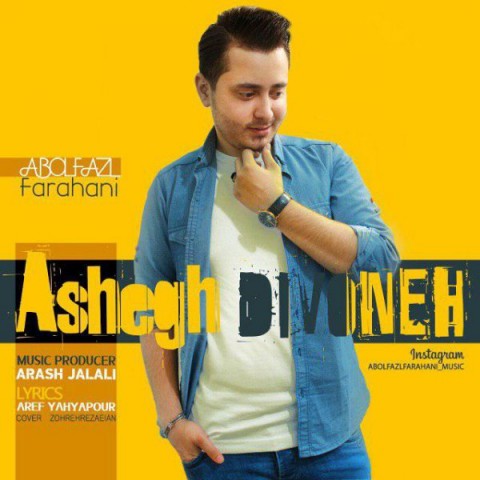 عاشق‌ دیوونه