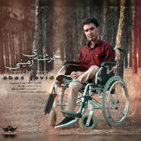 فرشته زمینی