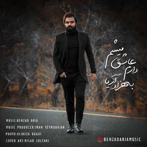 دارم عاشق میشم