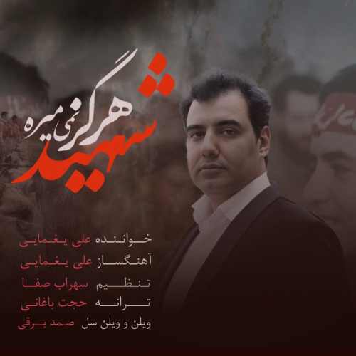 شهید هرگز نمی میره