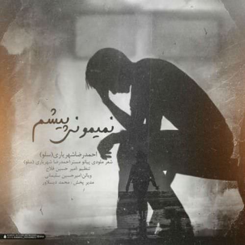 نمیمونی پیشم