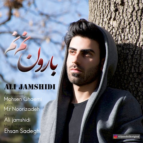 بارون نم نم