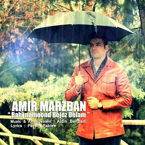 راهی نماند به جز دلت