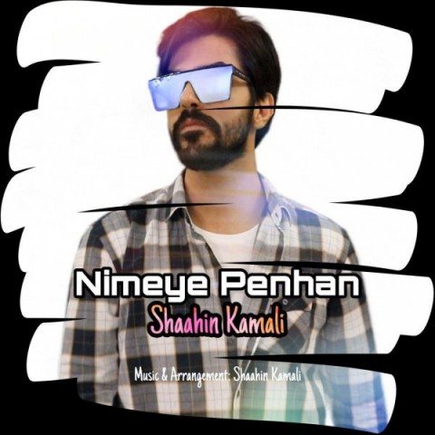 نیمه ی پنهان