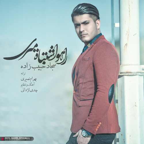 راهو اشتباه میری