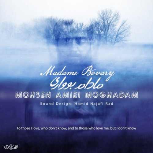 مادام بوواری