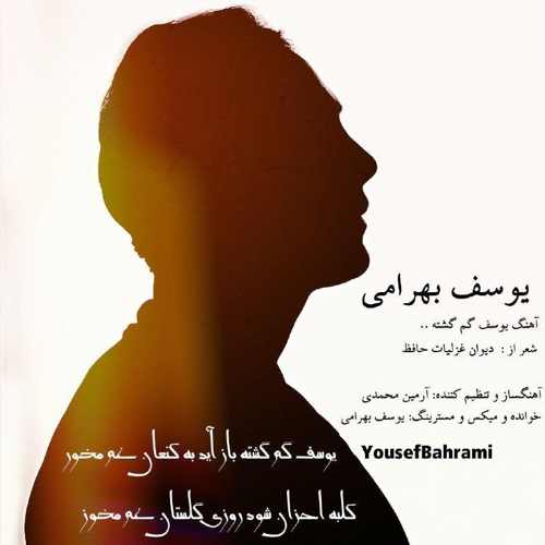 یوسف گم گشته